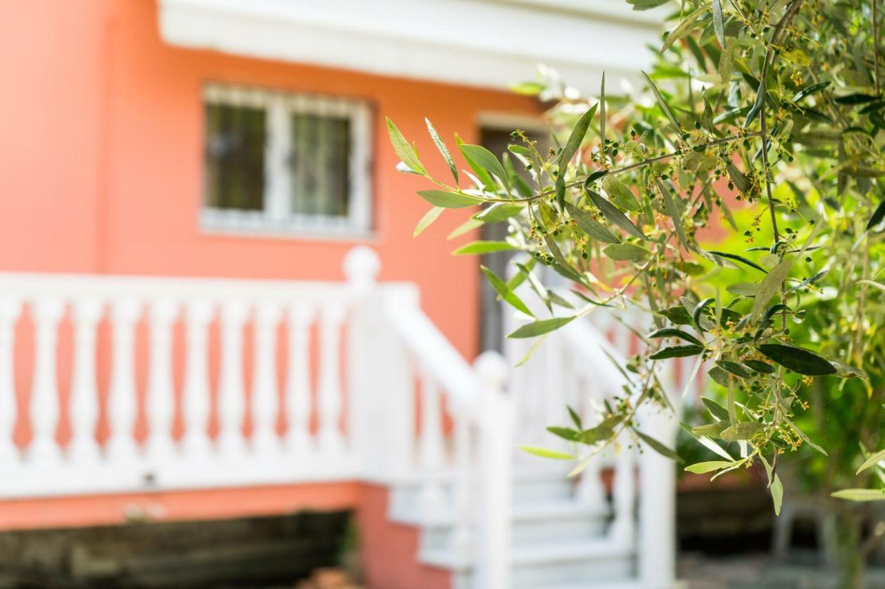 2 Bed House With Mountain View Διαμέρισμα Αλυκών Εξωτερικό φωτογραφία